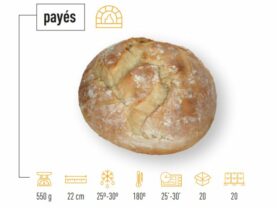 hogaza-payes